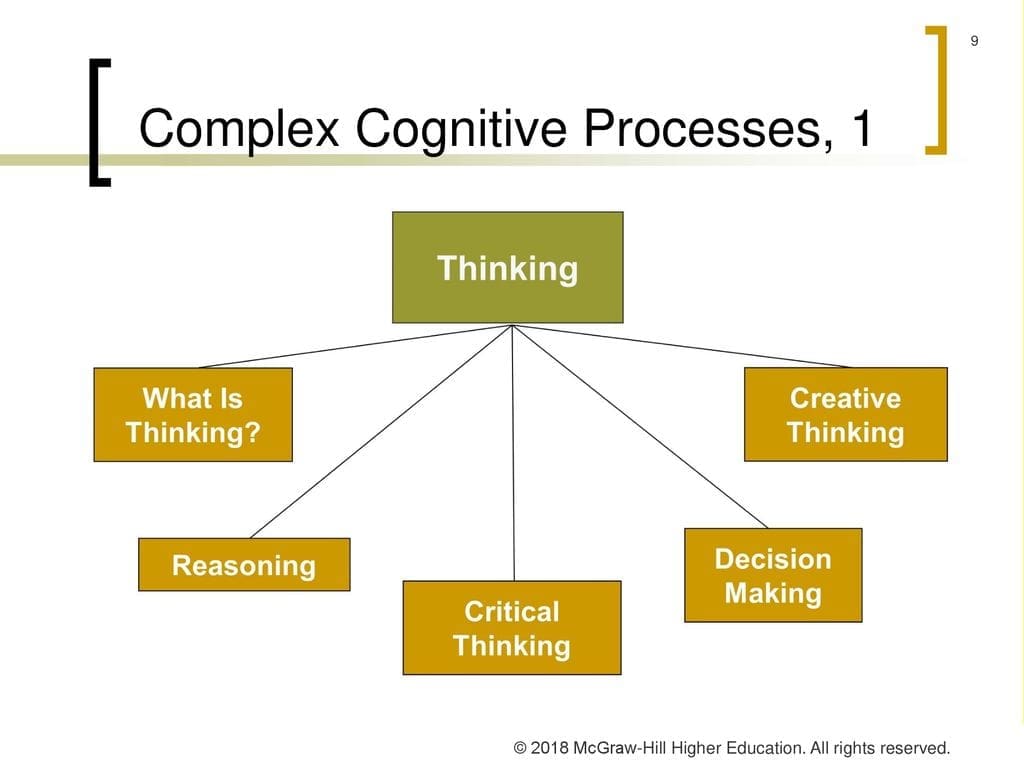 Complex Cognitive Processes Image